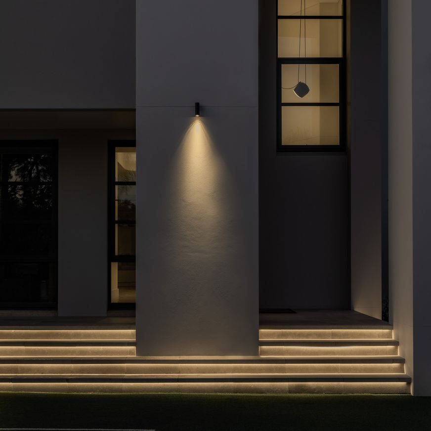 Nocturnal Firefly Fixed Down Wall Light