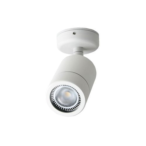 WINTON HL7354WH Outdoor Wall Light