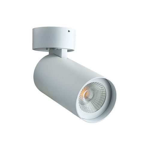 PORONUI NS208WH-4K Surface Mounted Light