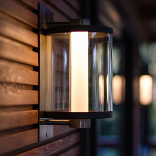 Nocturnal Badger Wall Light