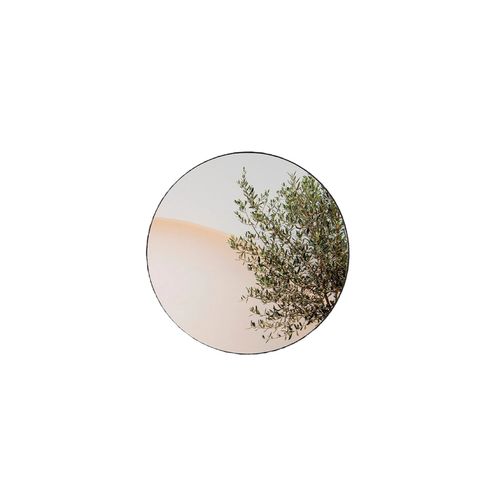 Hoop Mirror
