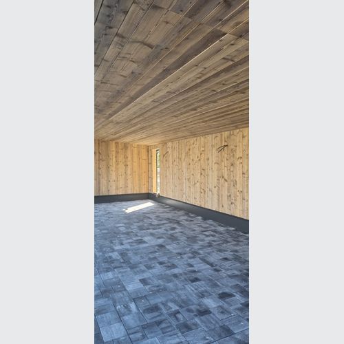 Baltic Pine