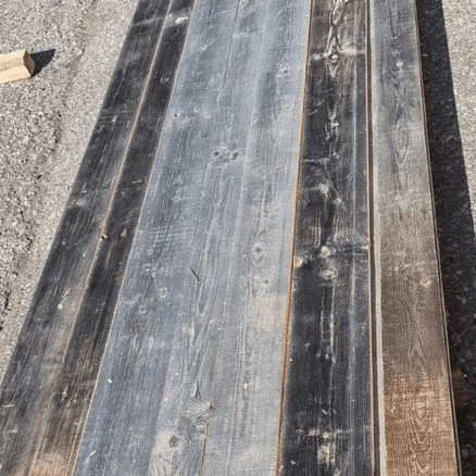 Baltic Pine