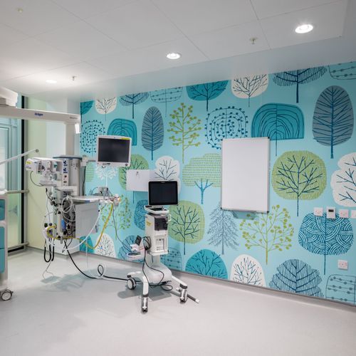 Altro Whiterock Digiclad™ Custom Printed Hygienic Wall Lining