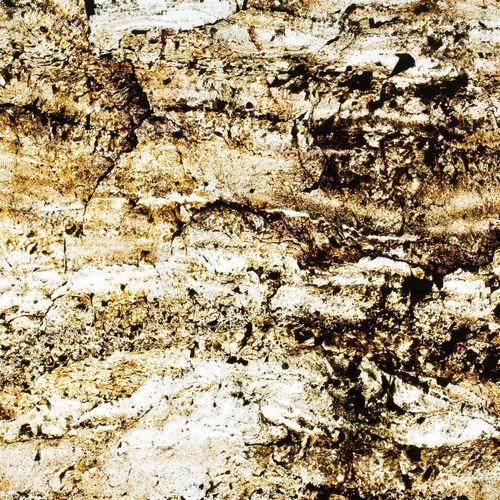 Amber Terrain Natural Thin Stone Veneers