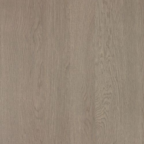 Alor Asta Veneer Panel