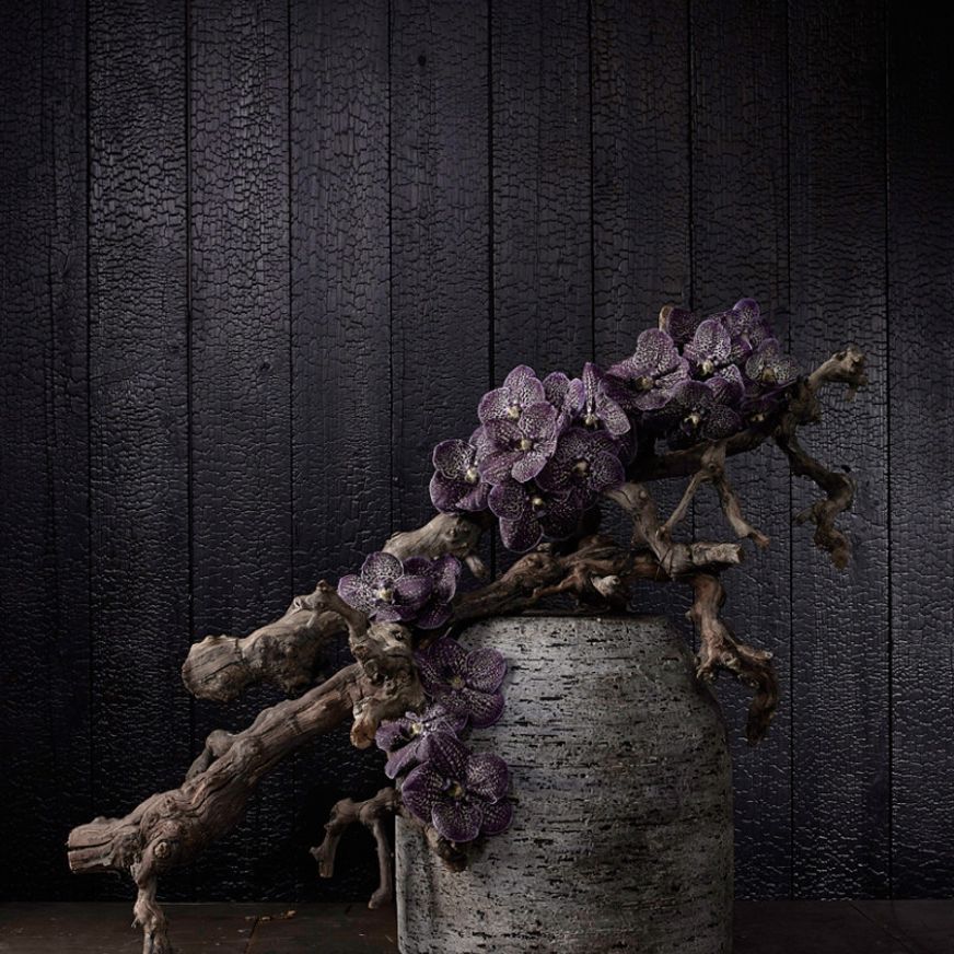 VidaSpace Bespoke Timber Walls