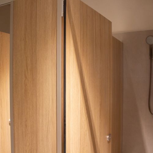 Shower Partitions