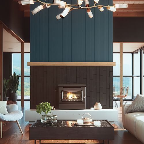 Nectre Inbuilt Firebox