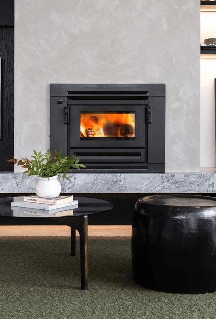 Xander Insert Wood Burner Fireplace