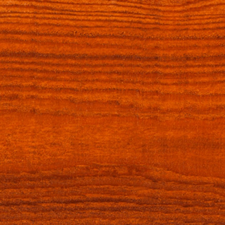 Elm Dryden WoodOil