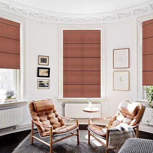 Premium Blackout Roman Blinds