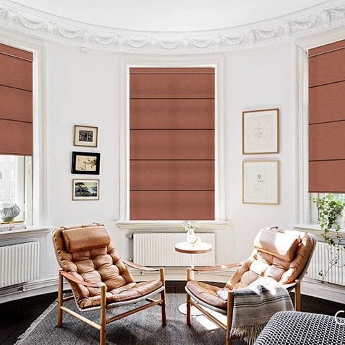 Premium Blackout Roman Blinds