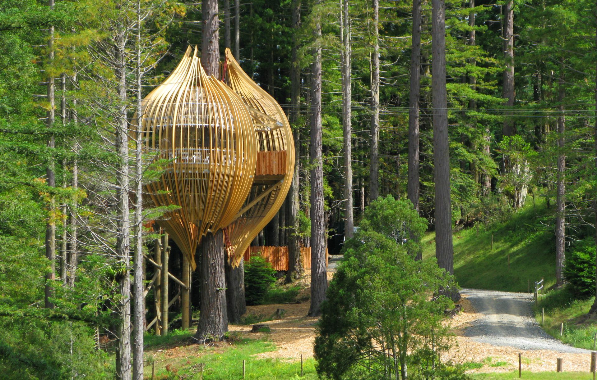 Pacific Environments Architects
