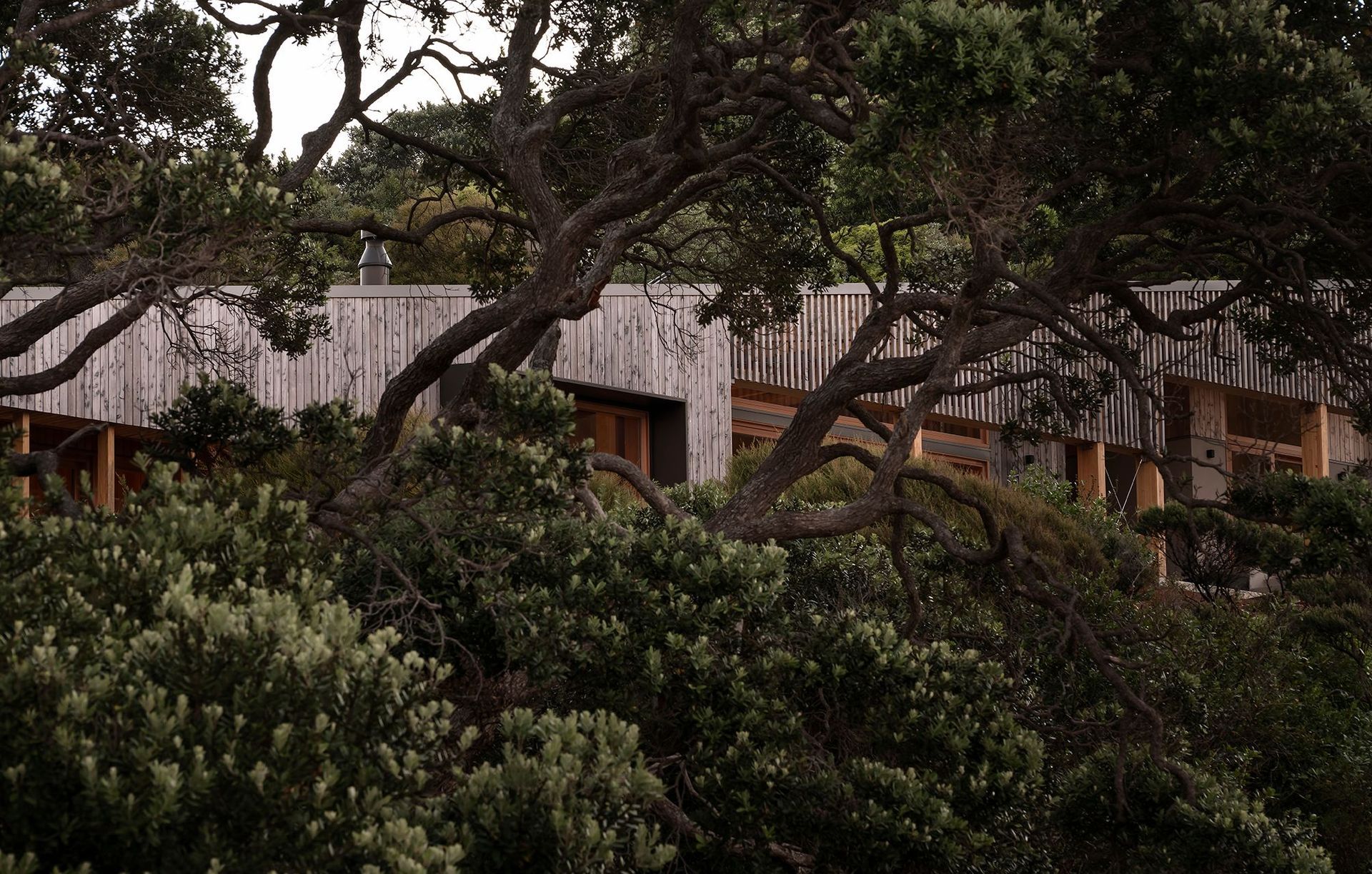 Pac Studio