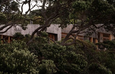 Pac Studio