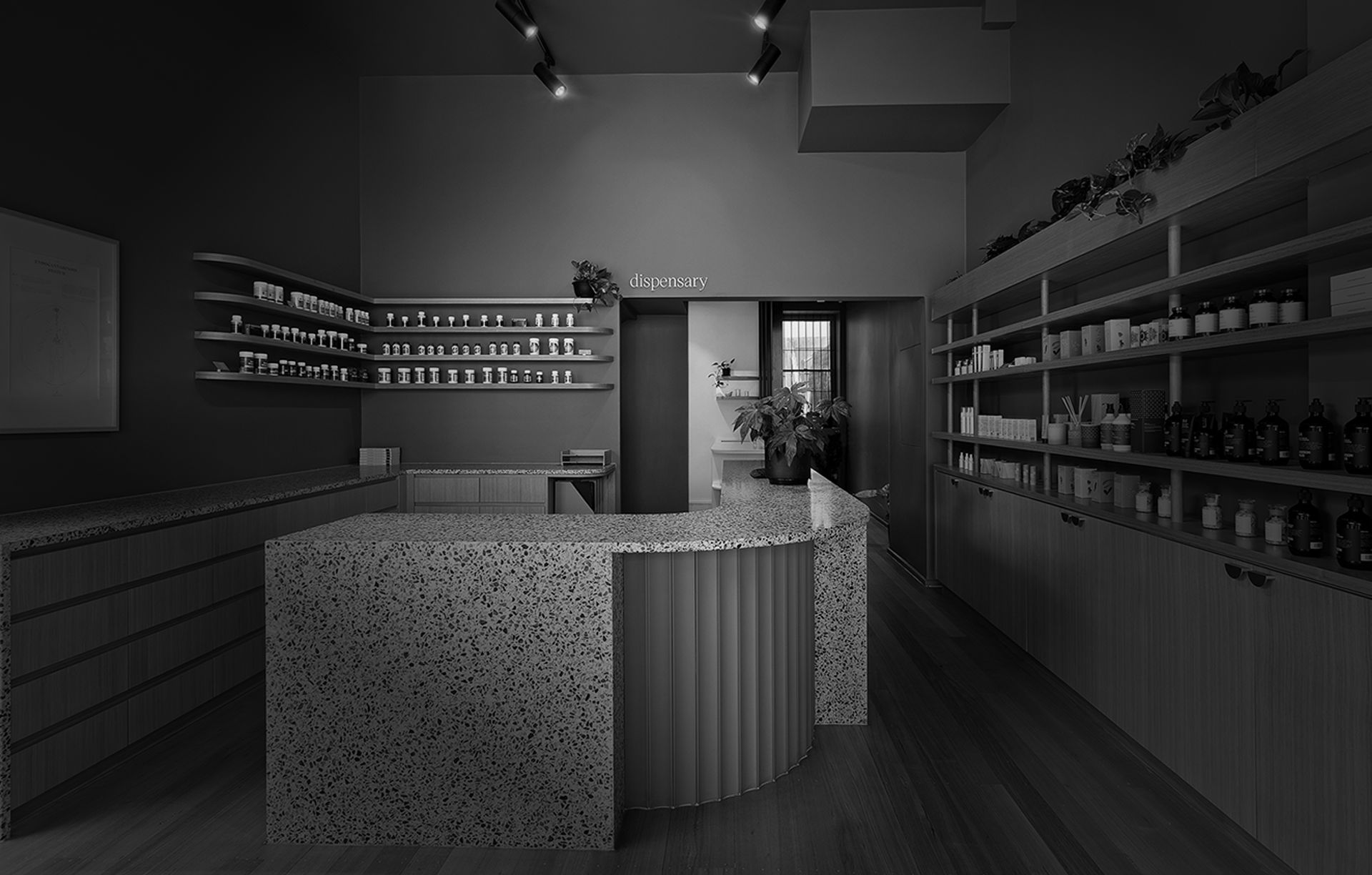 Alte. Studio