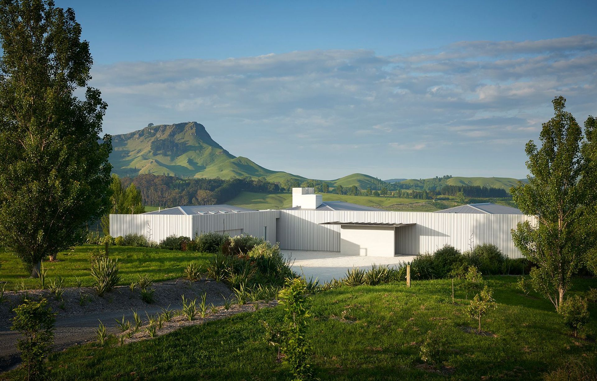 Andy Coltart Architecture & Development