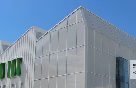 Nebulite™ Windows & Doors Tauranga