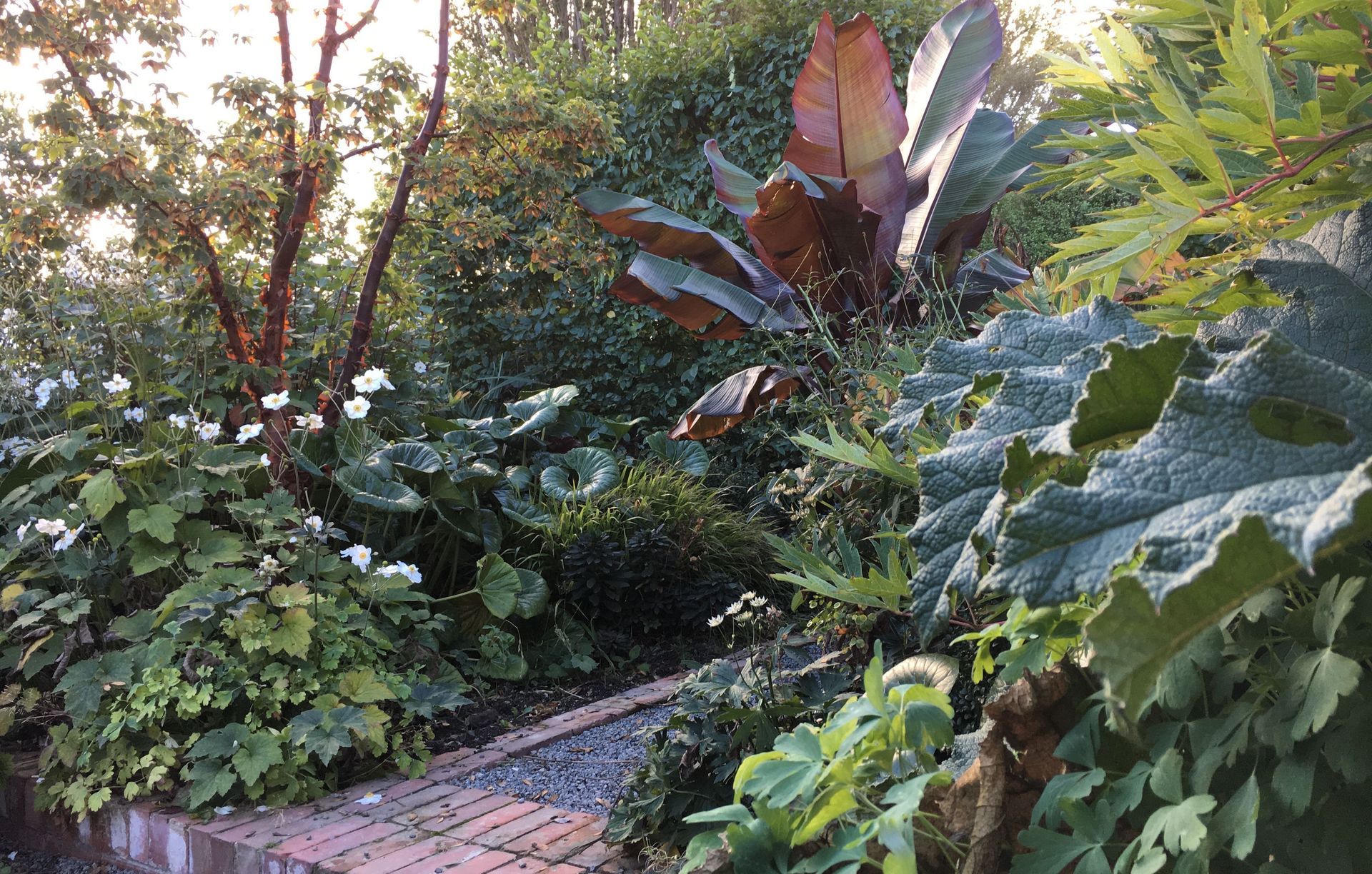 Botanic Landscape Architects