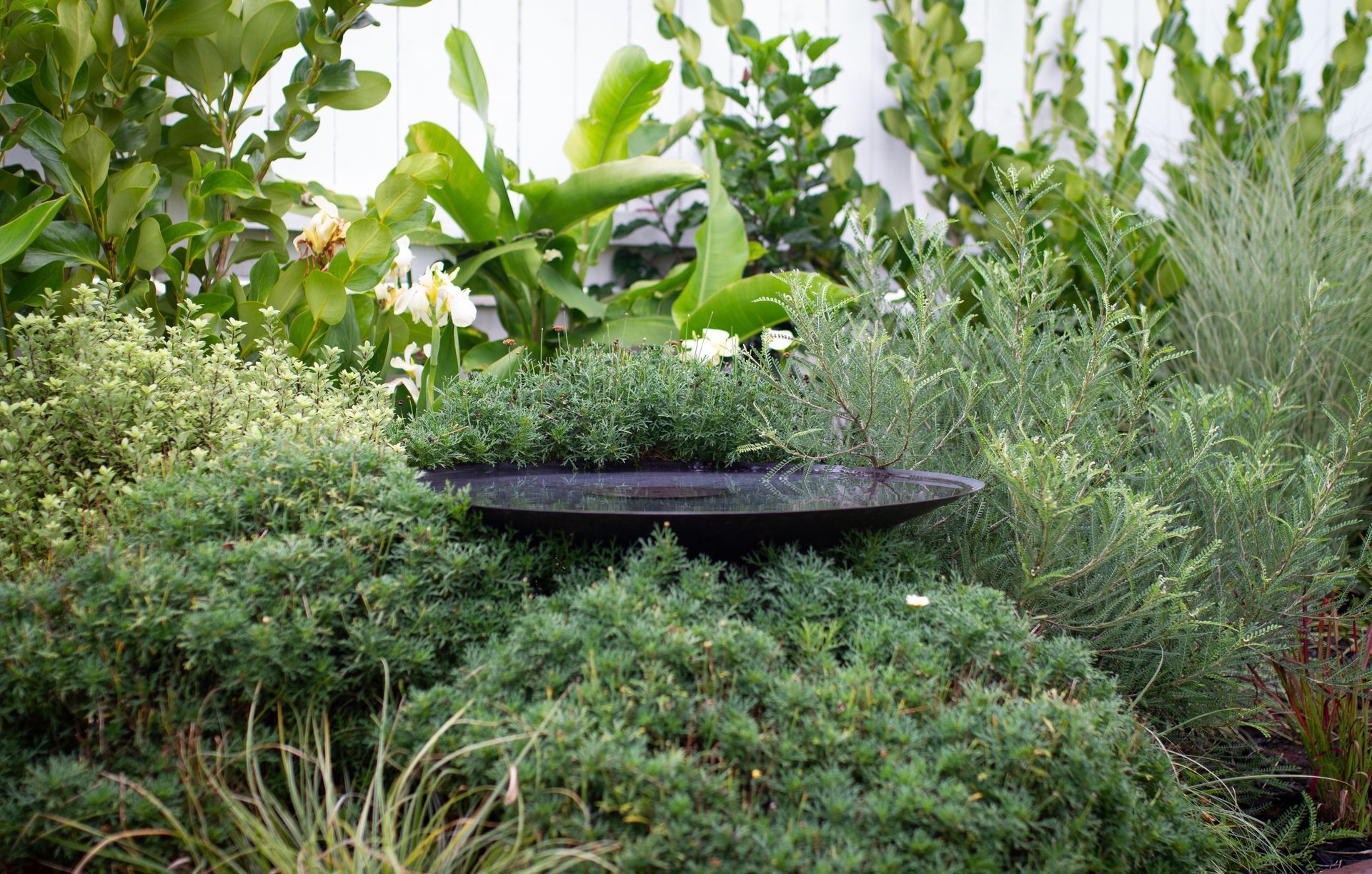 Sculpt Gardens