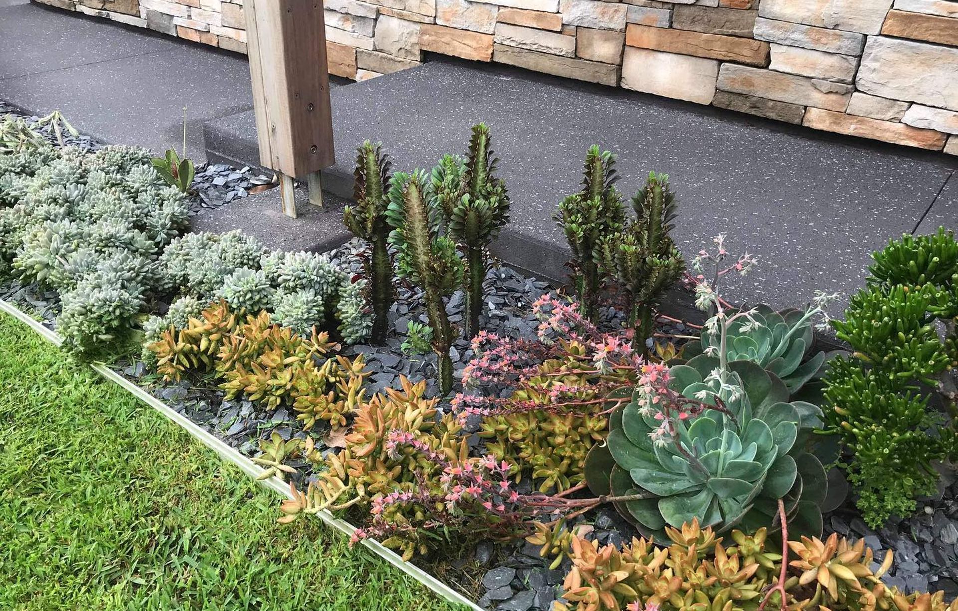 Devo Designs Landscaping