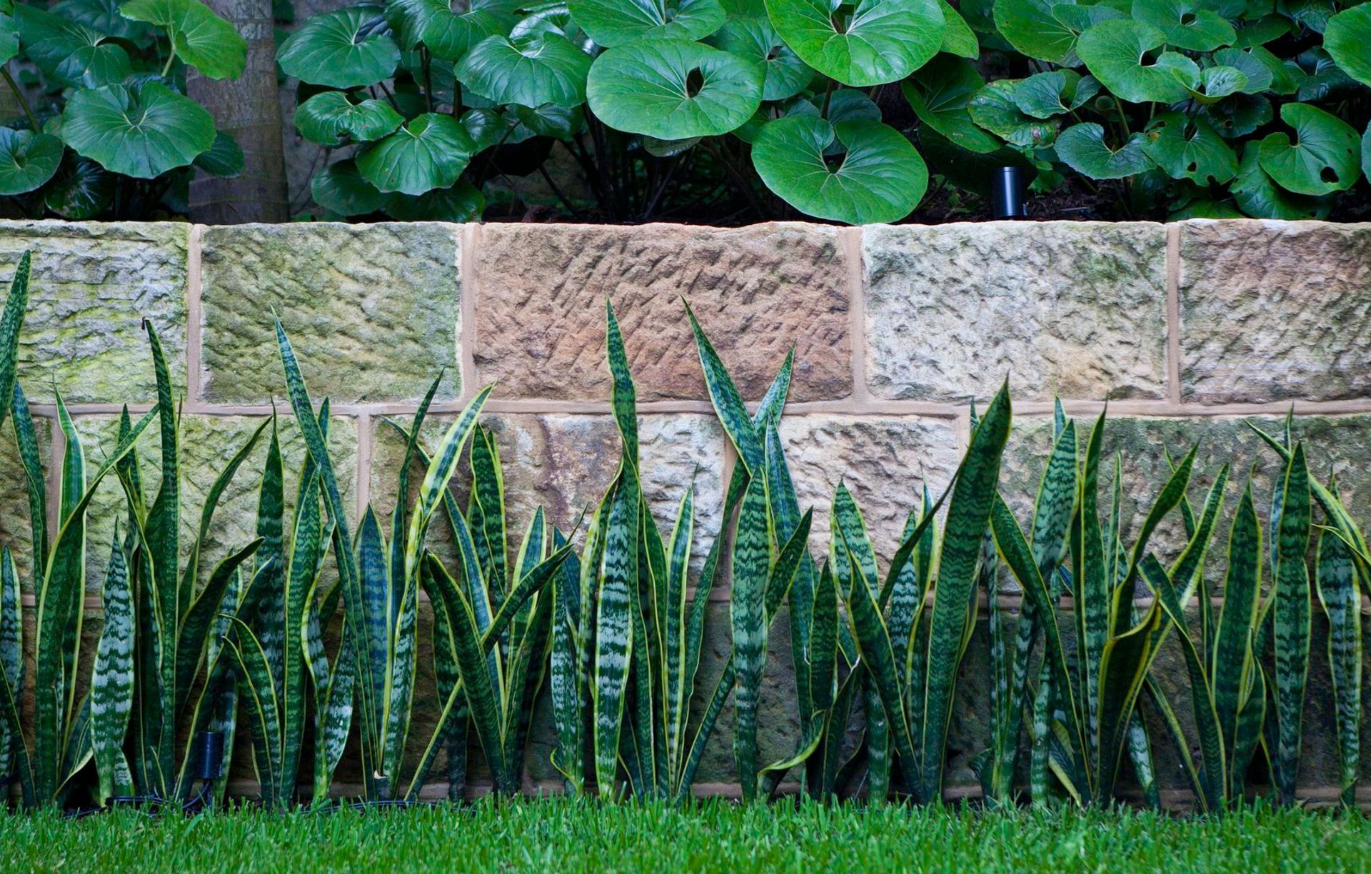 Ben Kaye Garden Design