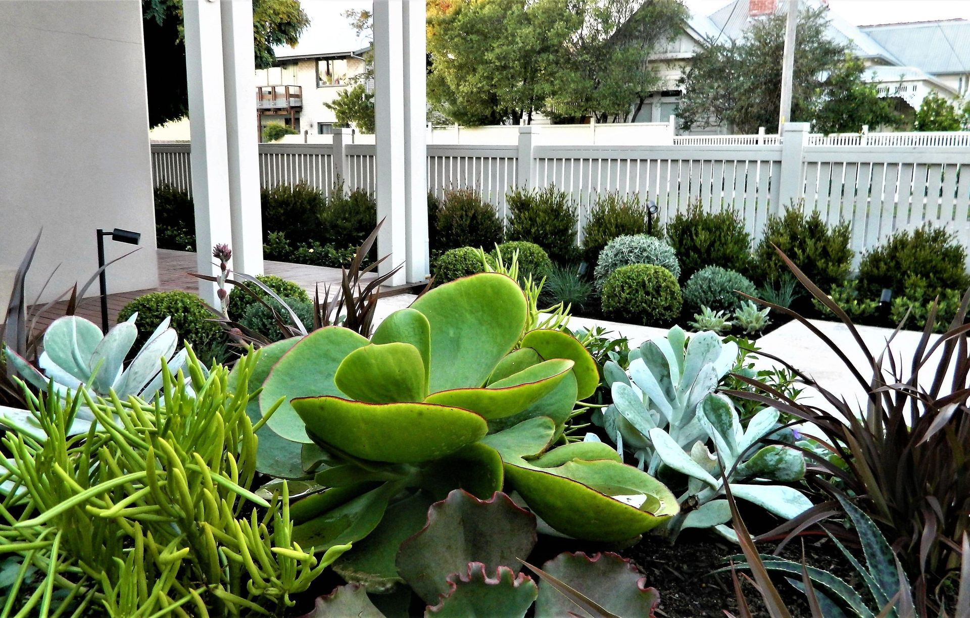 Anthony Scott Landscape Design