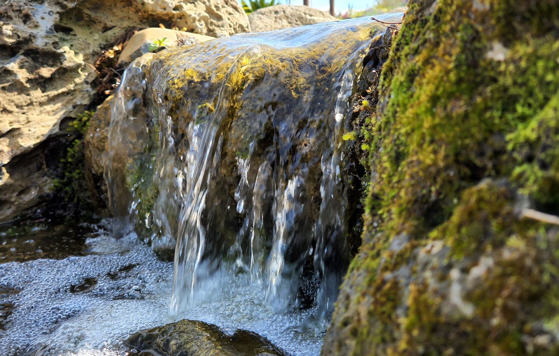 Local Landscapes