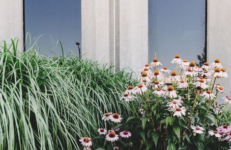 URBIS Landscapes