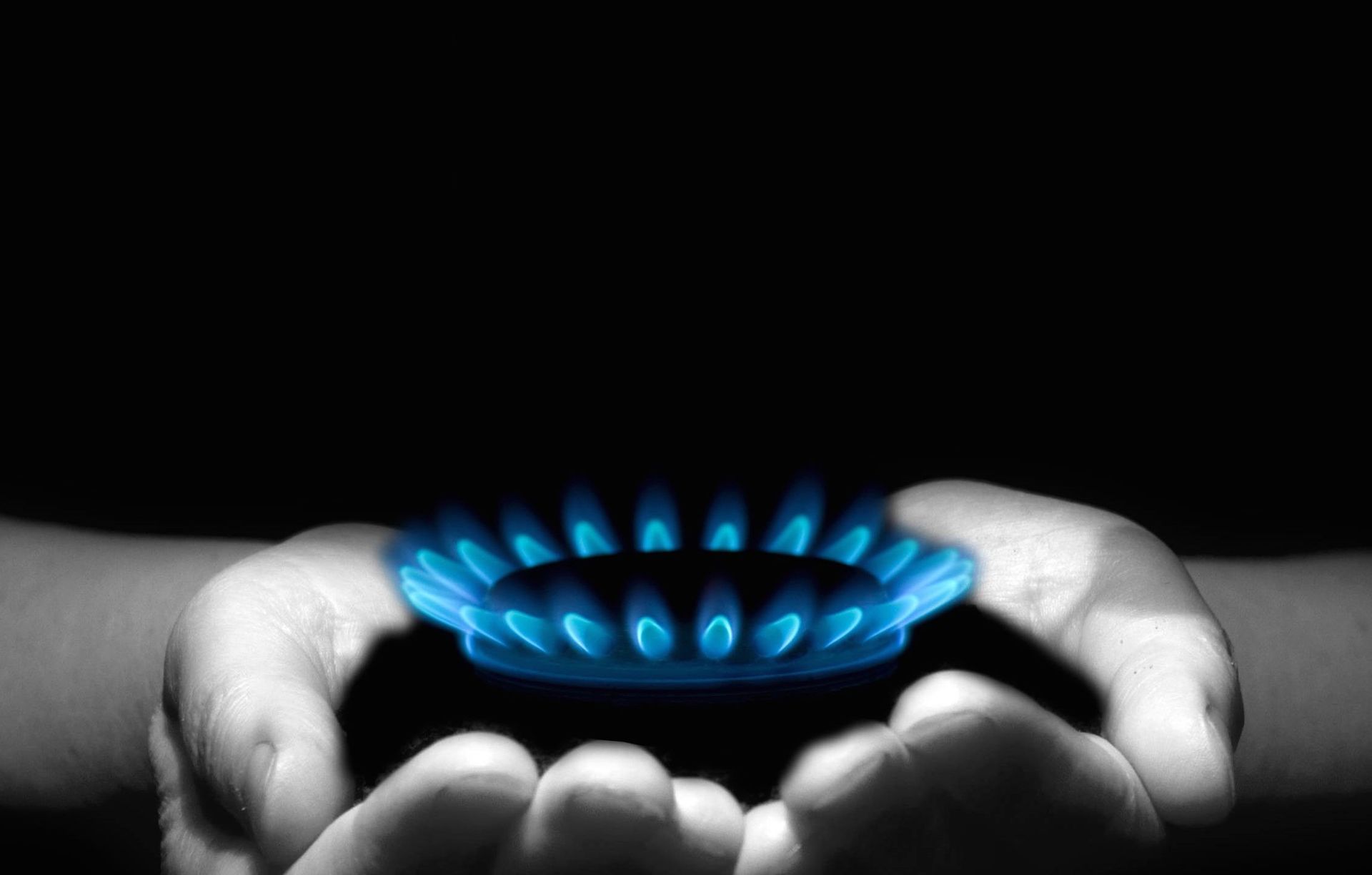 Gas Appliance Specialists