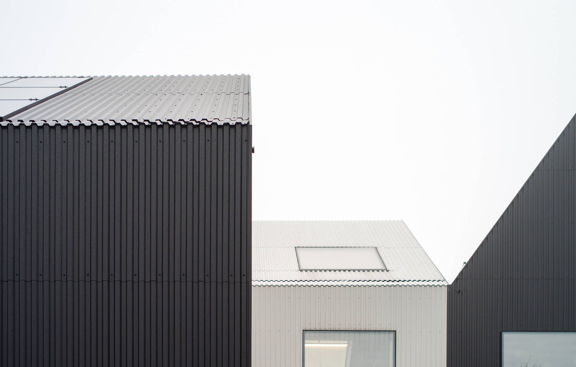 Net Zero