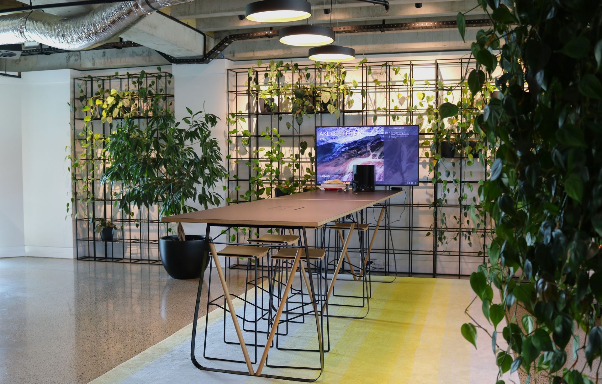 Hire Plants