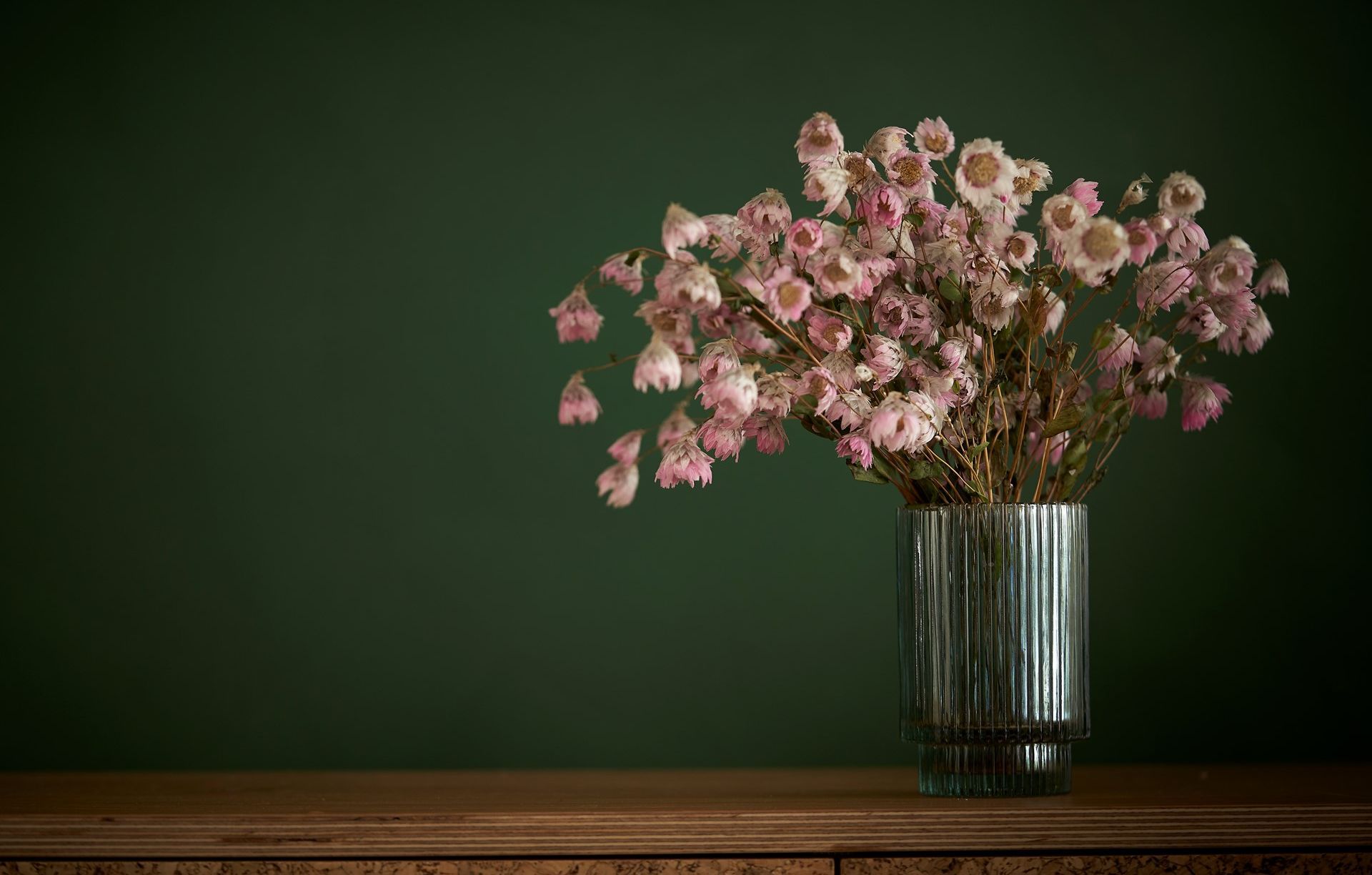 Porter's Paints
