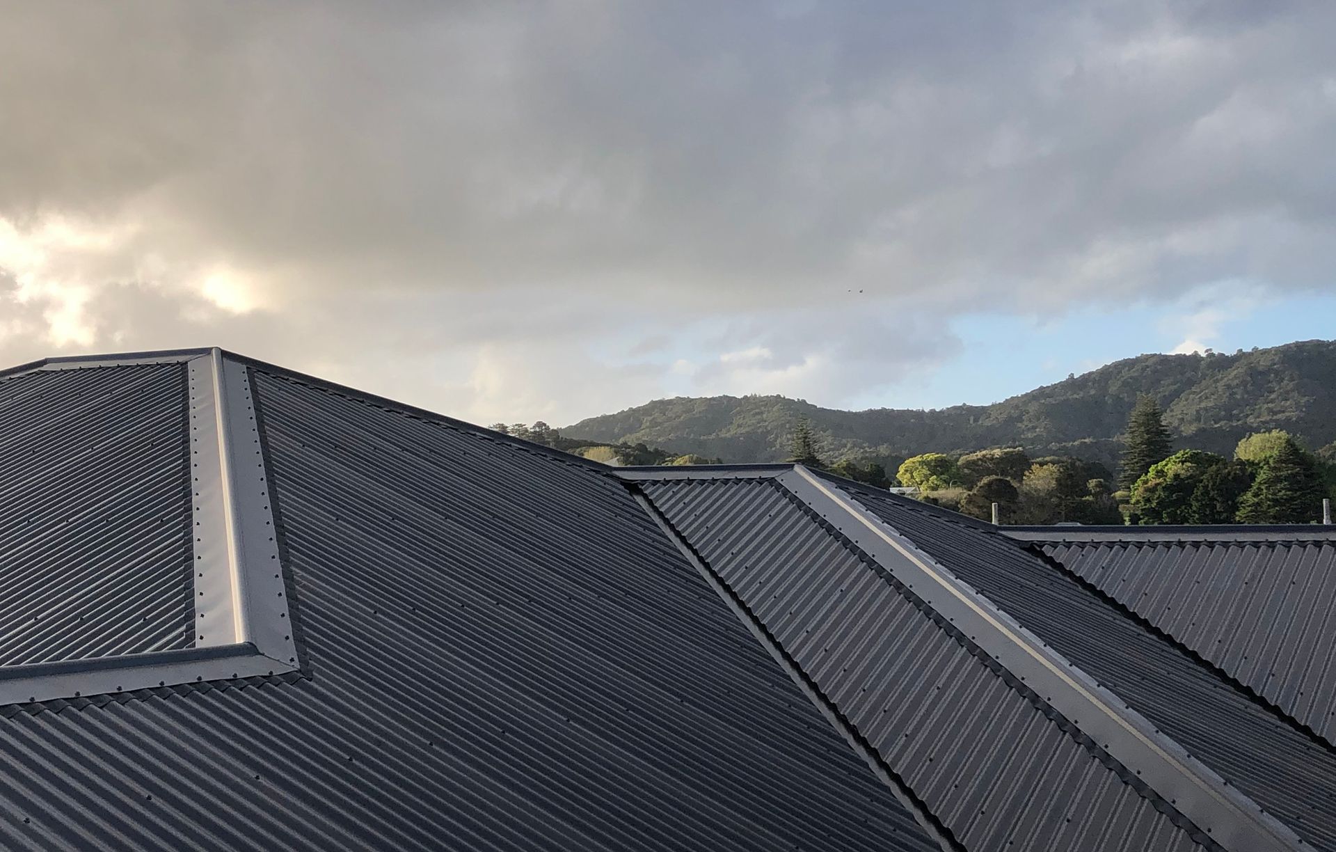 Taylor Roofs