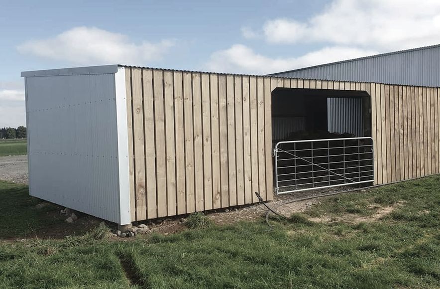Our Recent Projects