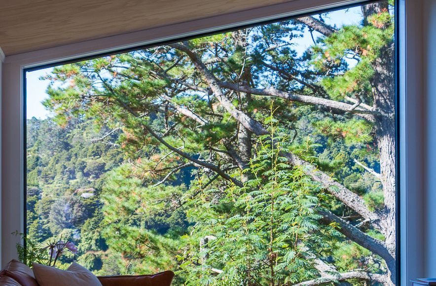 Karangahake Gorge