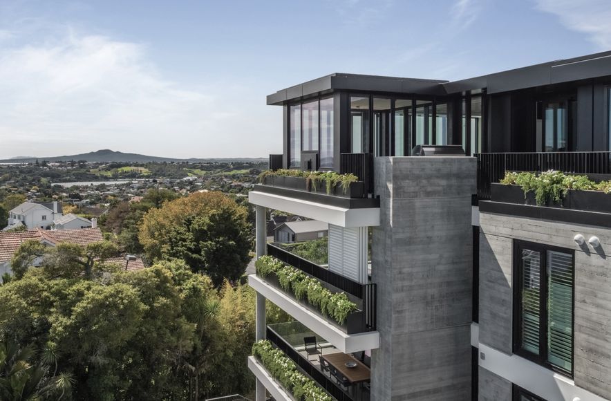 Elm Remuera