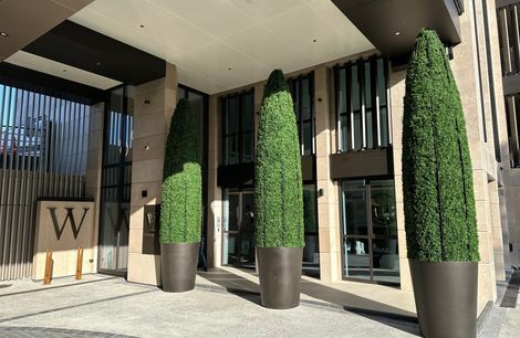 Victoria Lane in Remuera