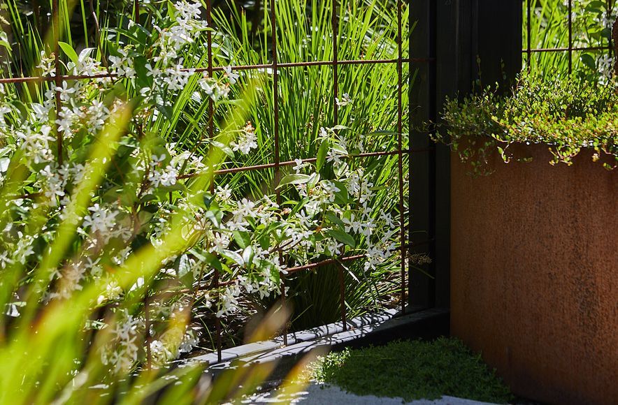 Westshore Coastal Garden
