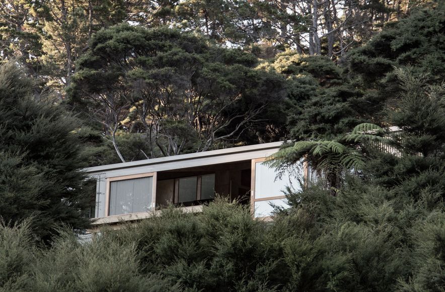 Motu Kaikoura