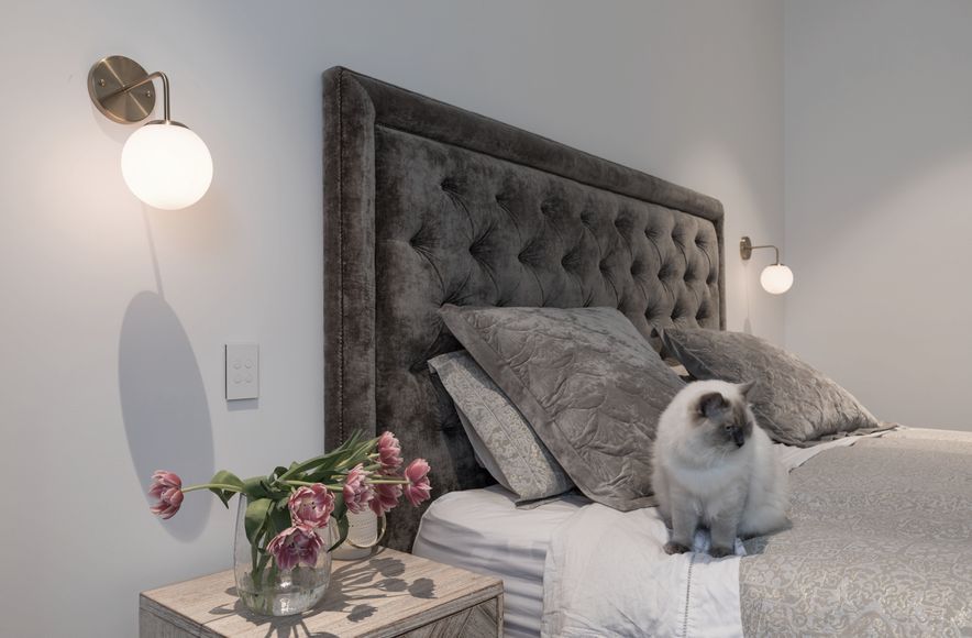 Georgina Street, Freemans Bay, Interiors