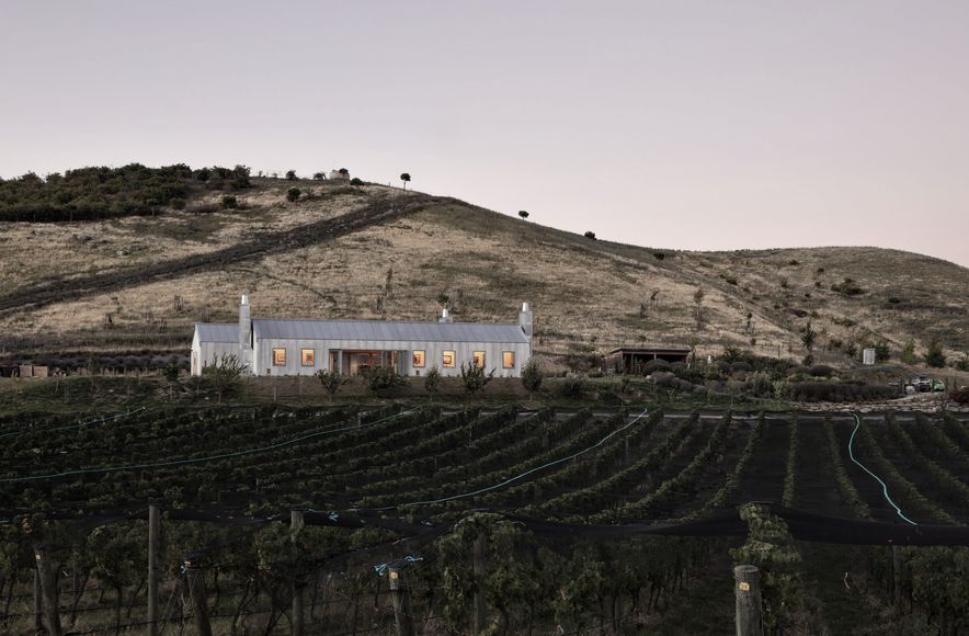 The Cellar Door - Noel Lane Architects Project in association with R.B Studio