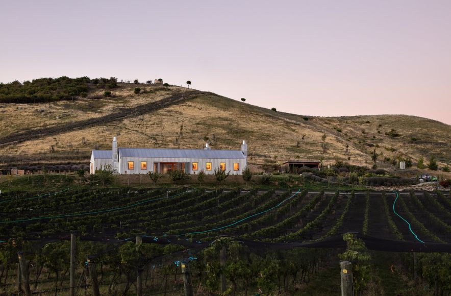 The Cellar Door - Noel Lane Architects Project in association with R.B Studio