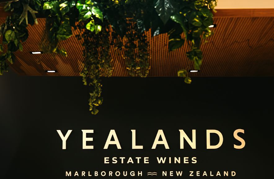Yealands Wine Tasting Room