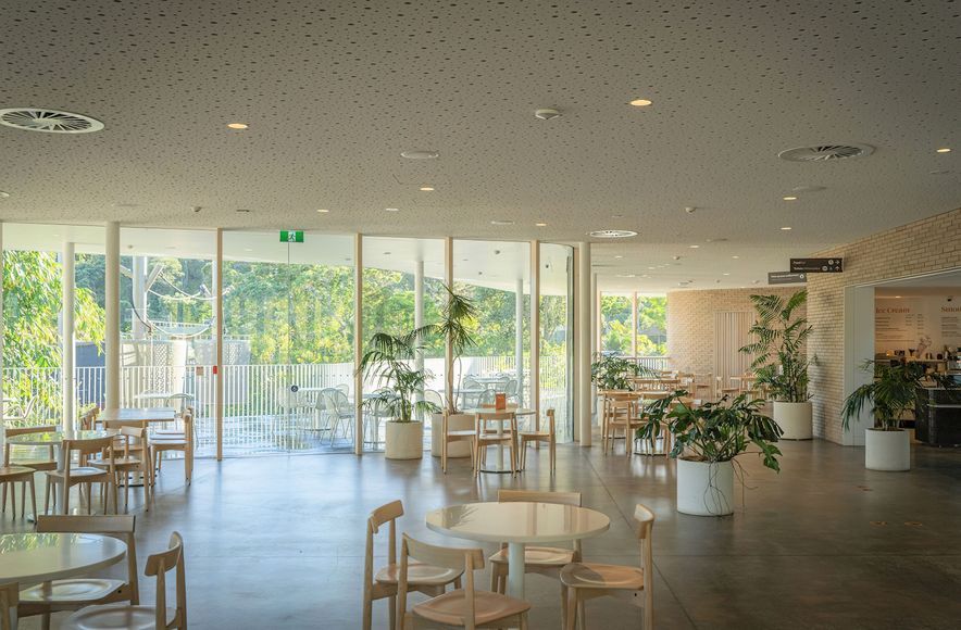 Ercol Lara Chairs at Auckland Zoo Te Puna Cafe by Stevens Lawson Architects