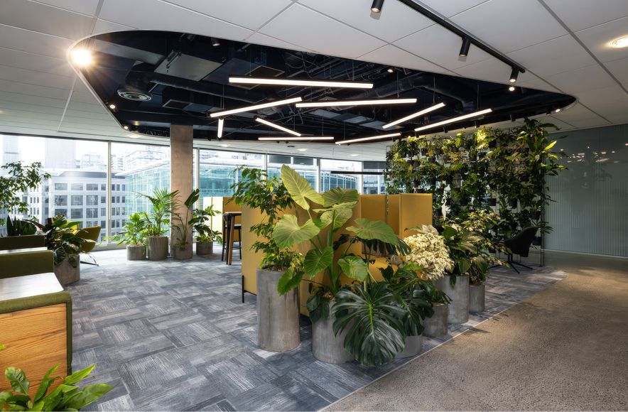 Microsoft Auckland