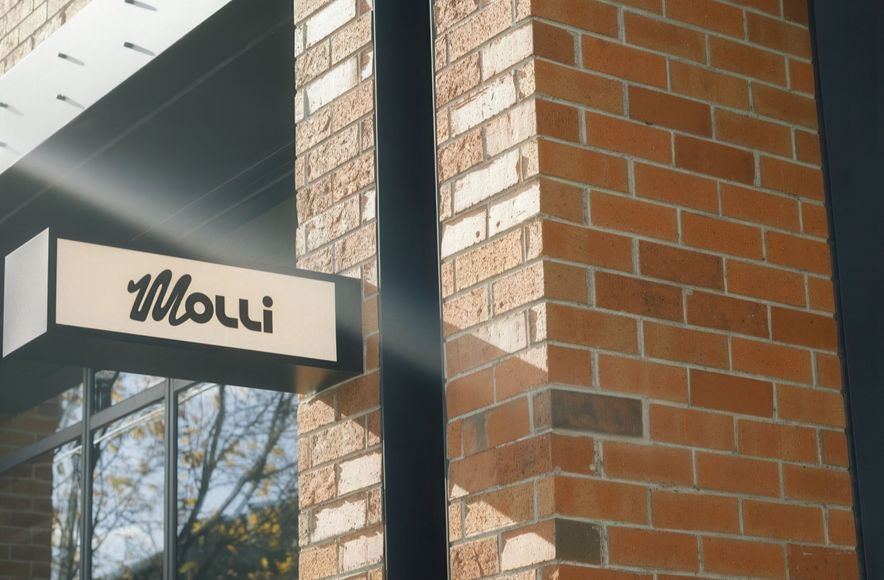 Project Feature | Molli