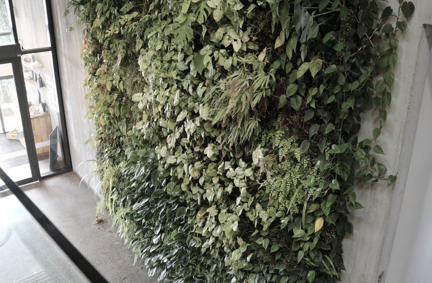 Ceres Organics - Plant Wall Maintenance At Height