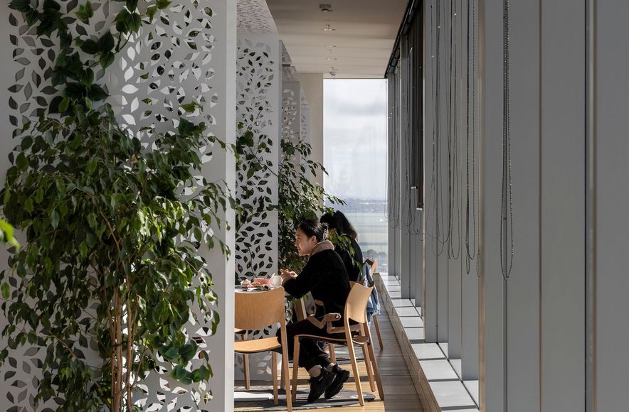 Deloitte Auckland